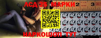 индика Новодвинск