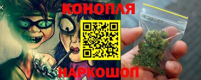 индика Новодвинск