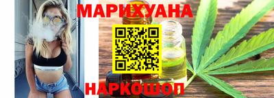 индика Новодвинск