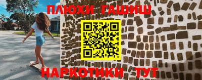индика Новодвинск