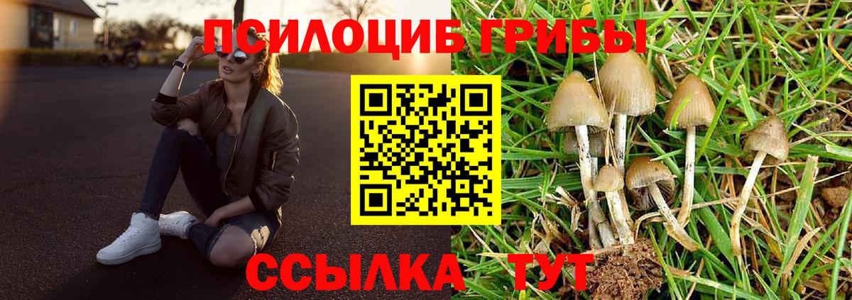 Галлюциногенные грибы прущие грибы Волоколамск